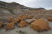 Eroded terrain with different geological strata - Canada ; This erosion resulted in the discovery of many dinosaur skeletons, making this region one of the world's largest fossil sites of these species