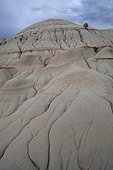 Eroded terrain with different geological strata - Canada ; This erosion resulted in the discovery of many dinosaur skeletons, making this region one of the world's largest fossil sites of these species