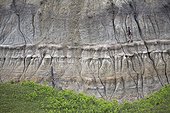Man on hard geological strata - Badlands Alberta Canada ; This erosion resulted in the discovery of many dinosaur skeletons, making this region one of the world's largest fossil sites of these species