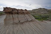 Hoodoo - Badlands Alberta Canada  ; This erosion resulted in the discovery of many dinosaur skeletons, making this region one of the world's largest fossil sites of these species