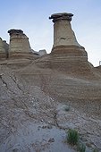 Hoodoo - Badlands Alberta Canada  ; This erosion resulted in the discovery of many dinosaur skeletons, making this region one of the world's largest fossil sites of these species
