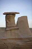 Hoodoo - Badlands Alberta Canada  ; This erosion resulted in the discovery of many dinosaur skeletons, making this region one of the world's largest fossil sites of these species