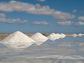 Salt marshes of Sabkhat Tazra - Khenifiss NP Morocco
