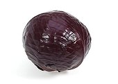 Red cabbage ; Chou rouge sur fond blanc