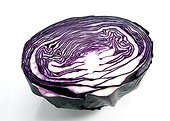 Red cabbage ; Chou rouge sur fond blanc
