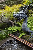 Dragon fountain and purification - Tokyo Japan ; used for washing hands and mouth 
