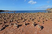 Garden of stone sculptures in Cami des Cavalls - Menorca