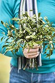Mistletoe bouquet