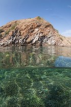 Shallow Hard Coral reef and island - Komodo  Indonesia