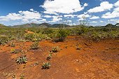 Underground mining of the Plaine des Lacs - New Caledonia