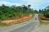 Road Apatou - French Guiana