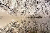 Barterand lake at dawn in winter - France Bugey Highlight Asferico 2015