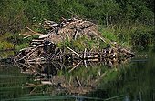 Beaver Hut - Lake Sault  Aiguebelle NP Quebec Canada