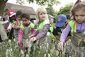 Inventory of insects - A School of Biodiversity  ; Project implemented by the Champagne Ardenne region to sensitize children to school on Biodiversity.<br>The AFPAN Green Gold is involved in this project for regional photographers working on this project.
