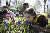 Flowering Plants - A School of Biodiversity  ; Project implemented by the Champagne Ardenne region to sensitize children to school on Biodiversity.<br>The AFPAN Green Gold is involved in this project for regional photographers working on this project.