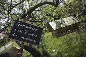 Presentation of the Garden - A School of Biodiversity  ; Project implemented by the Champagne Ardenne region to sensitize children to school on Biodiversity.<br>The AFPAN Green Gold is involved in this project for regional photographers working on this project.