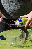 Hornet trap with beer in a garden