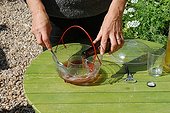 Hornet trap with beer in a garden