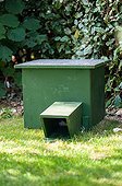 Hedgehog shelter in a garden