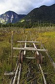 Wooden cart rolling on wooden rails in Chilean Patagonia ; Wooden cart rolling on wooden rails, having been used in the past to carry tree trunks when the road carretera austral has been opened.