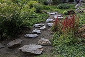 Japanese path in a garden