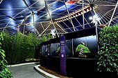 Bonsai show at Folies Flore 2014 - Mulhouse - France