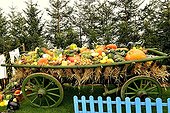 Cart of squashes at Folies Flore 2014 - Mulhouse - France