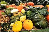 Vegetables show at Folies Flore 2014 - Mulhouse - France