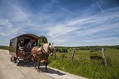 Trait Comtois pulling a travel trailer - France 