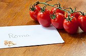 Harvest of tomato seeds ; Dried tomato seeds in an envelope