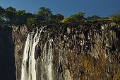 Victoria Falls on the Zambezi River - Zambia / Zimbabwe 