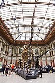 Natural history museum of Belin - Germany ; Museum für Naturkunde<br>Naturkundemuseum or Humboldt-Museum