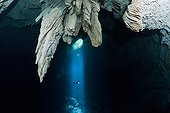 Diver into the light shining down through a cenote opening