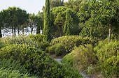 Gravel path in a mediterranean garden