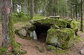 Dolmen Purifaing - Fossard Massif Vosges France