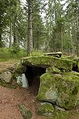 Dolmen Purifaing - Fossard Massif Vosges France