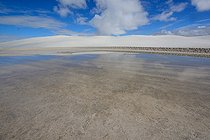 Gypsum Desert after rain - White Sands New Mexico