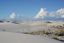 Gypsum desert - White Sands NP New Mexico USA 