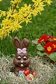 Bunny and chocolate eggs at Easter in a nest - France