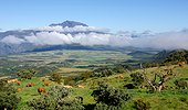 Piton des Neiges and plain Cafres - Reunion Island