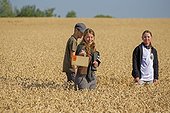 Hamsters reintroduction - Alsace France ; as part of an EU directive under the aegis of the ONCFS (National Office for Hunting and Wildlife) with the help of the Hamsters breeding association Saving Wildlife and Central Reintroduction of Hunawihr 