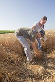 Hamsters reintroduction - Alsace France ; as part of an EU directive under the aegis of the ONCFS (National Office for Hunting and Wildlife) with the help of the Hamsters breeding association Saving Wildlife and Central Reintroduction of Hunawihr 