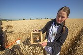 Hamsters reintroduction - Alsace France ; as part of an EU directive under the aegis of the ONCFS (National Office for Hunting and Wildlife) with the help of the Hamsters breeding association Saving Wildlife and Central Reintroduction of Hunawihr 
