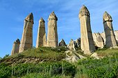 Turkey. Cappadocia. Near Goreme, the Love Valley is named after the phalllic shape of its fairychimneys.