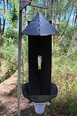 insect trap detection boring experimentally by INRA, Forest Lazaretto, Anglet (64).