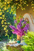 Table with flowers in spring, rose tree Banks, Judea, Provence, France