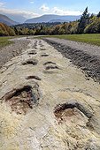 Sauropod footprints in Plagne in the Jura , Ain, France . Footprints left by diplodocus (herbivorous sauropods) in the mud of a Jurassic lagoon and discovered in 2009; it is the wider footprints known world