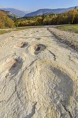 Sauropod footprints in Plagne in the Jura , Ain, France . Footprints left by diplodocus (herbivorous sauropods) in the mud of a Jurassic lagoon and discovered in 2009; it is the wider footprints known world