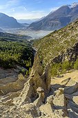 The Demoiselles of Merdane , Region of Guillestre, Queyras , Hautes-Alpes , France