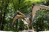 Cearadactylus , Prehistoric Park, Dino Zoo , Charbonnières -les-Sapins , Franche -Comté , France